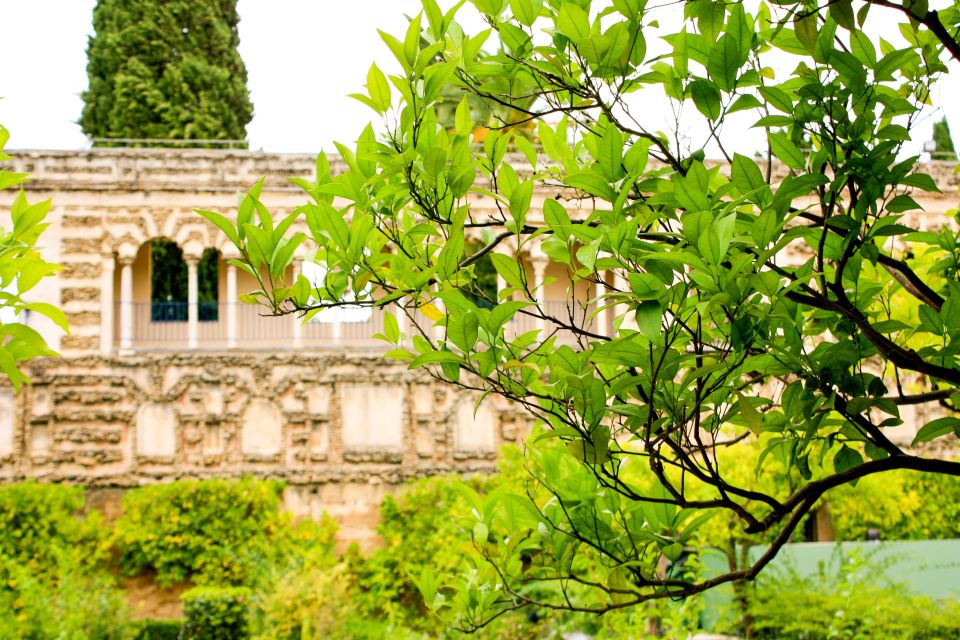 Seville: Alcazar Skip-The-Line Guided Tour With Tickets - Inclusions and Meeting Details