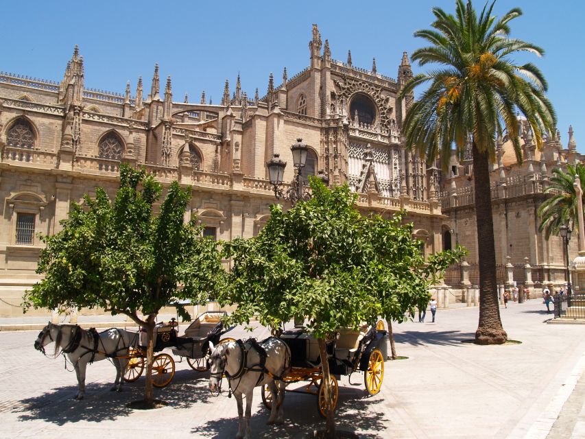 Seville: Cathedral, Giralda, and Alcazar Guided Tour - Meeting Point and Important Information