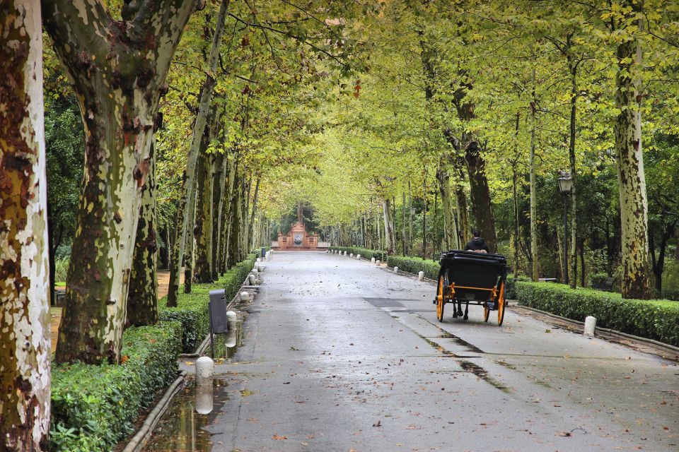 Seville: City Highlights Private Cyclo Tour - Exploring the Guadalquivir River