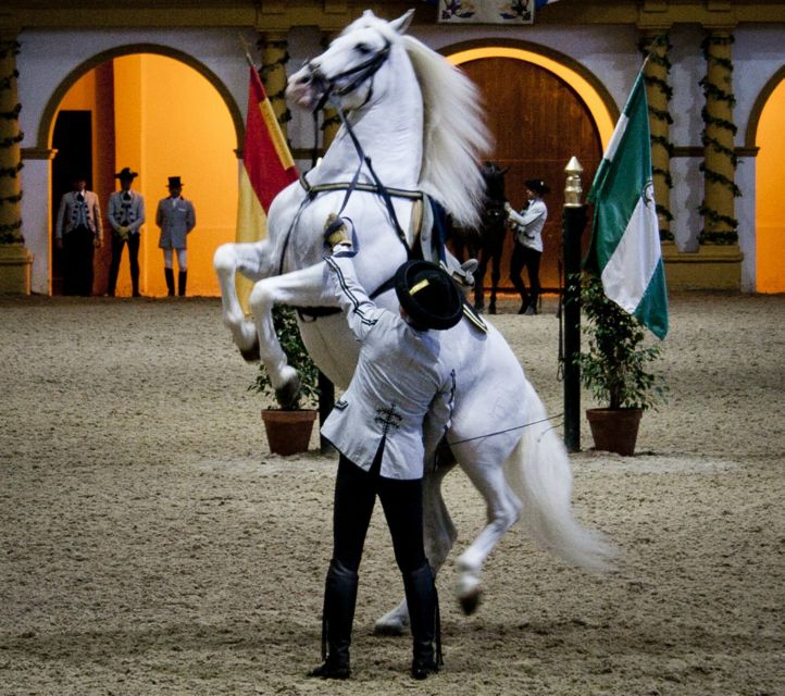 Seville: Jerez and Cadiz Wine Tasting & Horse Show Day Trip - Equestrian Art Performance