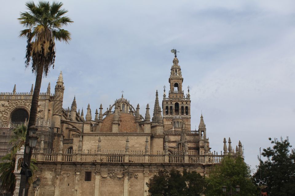 Seville: Major Landmarks Private Tour - Customer Feedback