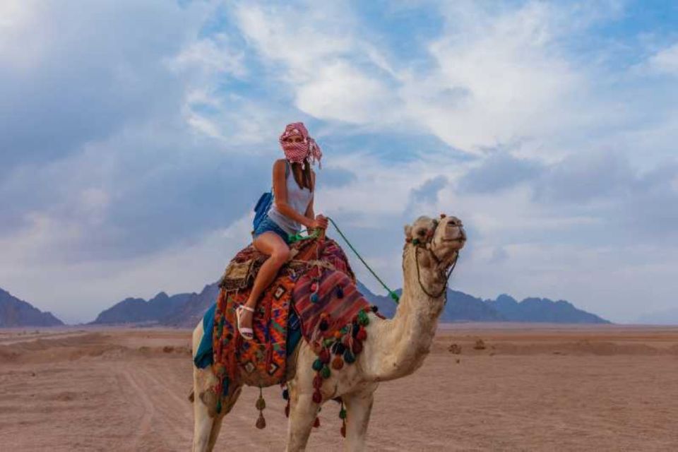 Sharm El-Sheikh: Bedouin Tent and Buggy Desert Day Tour - Inclusions and What to Expect