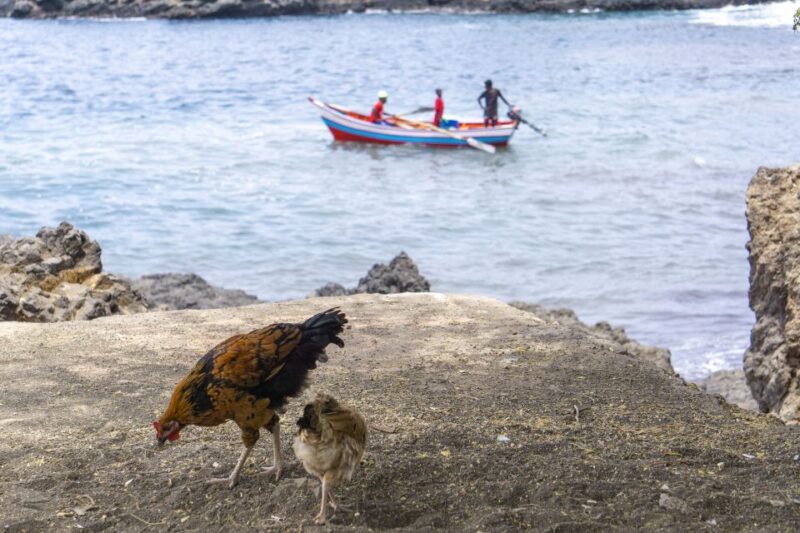 Shore Excursion: 3-Hour Praia & Cidade Velha Historic Tour - Important Notes