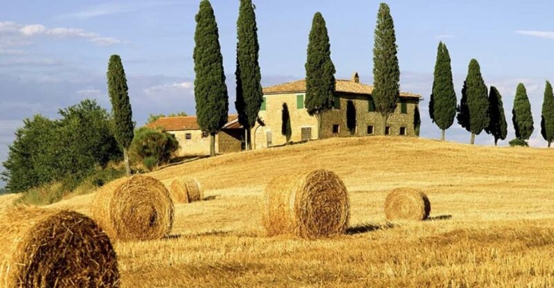 Shore Trip From La Spezia: Pisa,Lucca,Lunch & Tasting Winery - Frequently Asked Questions