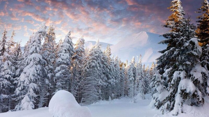 Short Hiking & Santa Claus Village Combo Tour - Important Information for Participants