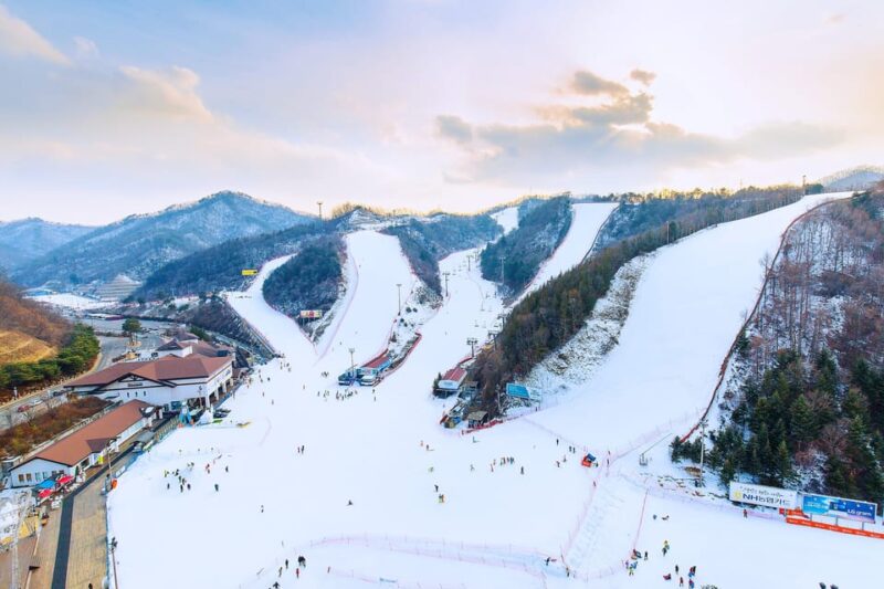 Shuttle Bus to Elysian Ski Resort(Only Transportation) - Ski Resort Overview