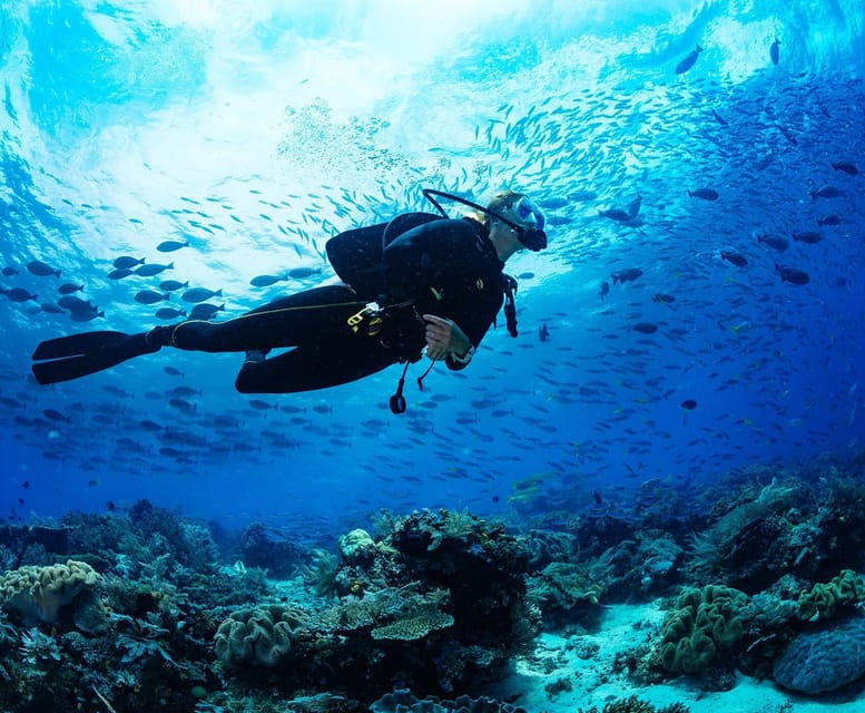 Side: Scuba Diving Tour Journey To The Depths Of The Blue - Customer Reviews