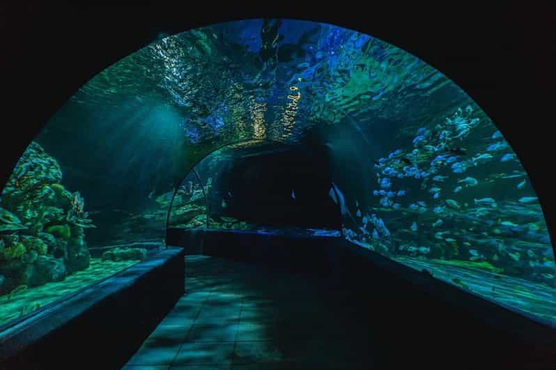 Siem Reab: Angkor Wildlife & Aquarium - Transportation Options