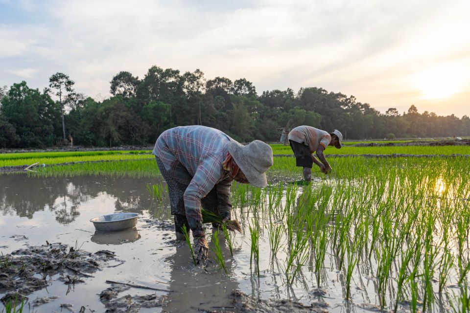 Siem Reap: Afternoon Cooking Class & Village Tour - Itinerary Details