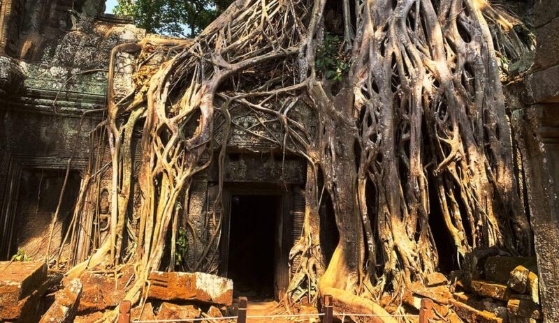 Siem Reap: Angkor Temples Small Circuit Shared Group Tour - Tour Experience