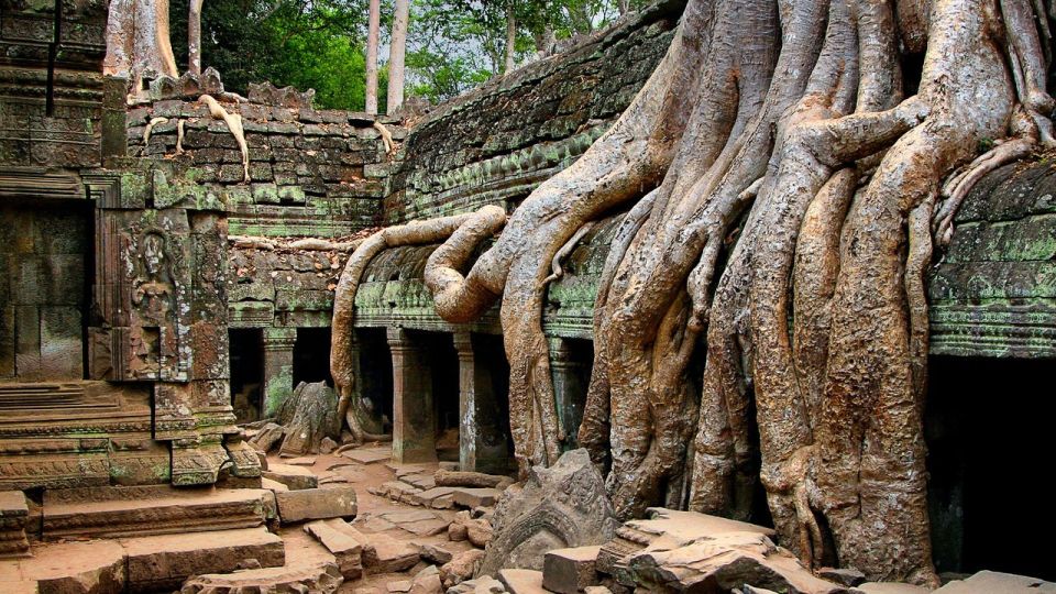 Siem Reap: Angkor Wat: Small-Group Sunrise Tour - Tips for a Great Experience