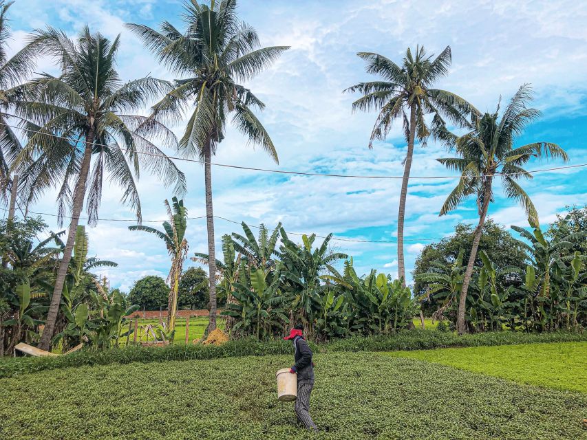 Siem Reap: Countryside Tour - Local Products and Experiences