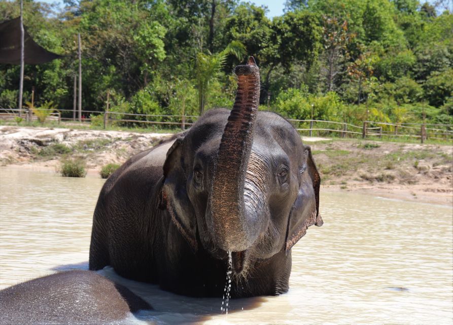 Siem Reap: Kulen Elephant Forest & Tonlesap Lake - Important Information