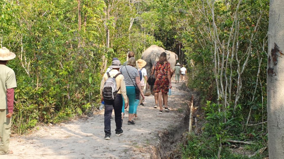 Siem Reap: Small Group Tour of Kulen Elephant Forest - Experience Highlights