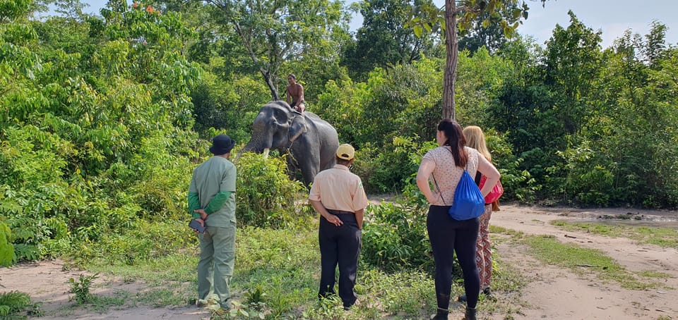 Siem Reap: Small Group Tour of Kulen Elephant Forest - What to Bring