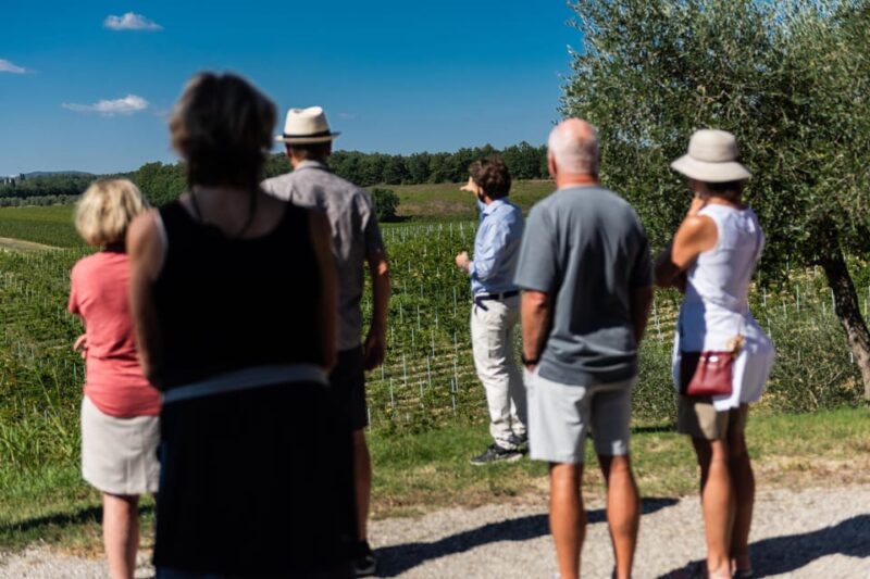 Siena: Winery Tour/Tasting With Owner/Maker of Awarded Wines - Itinerary Details
