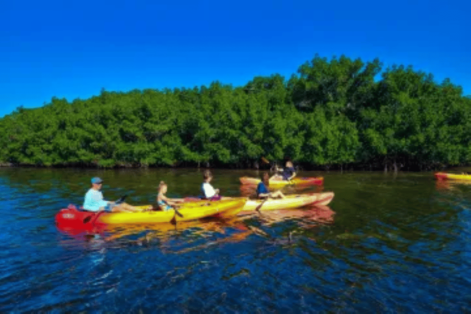 Siesta Key: Kayak and Paddleboard Rentals - Duration and Group Information