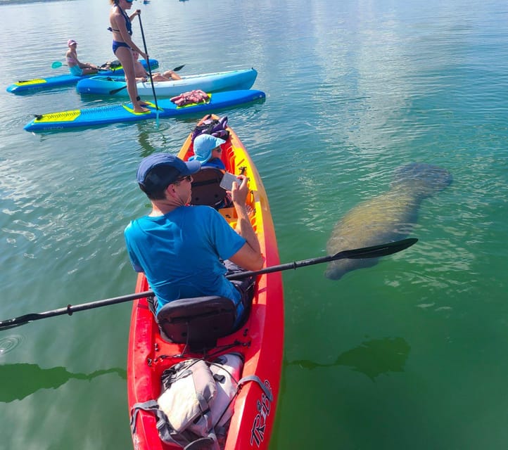 Siesta Key: Mangrove Kayak or Paddleboard Tour - Additional Information