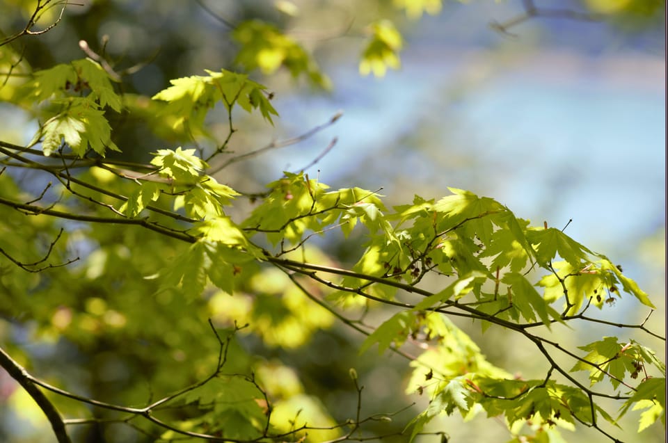 Sightseeing and Educational Farm Tour on Bainbridge Island - Historical Sites to Explore