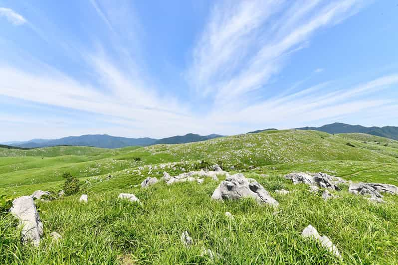 Sightseeing Bus Tour Happiness Tours on the Yamaguchi-go B - Beppu Benten Pond