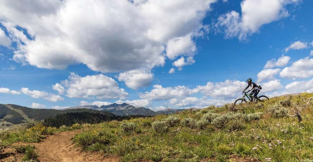 Silverthorne: Shuttled Mountain Bike Ride Salt Lick Trails - Shuttle Logistics and Timing