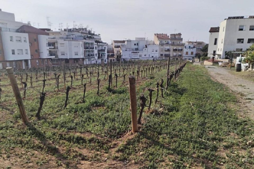 Sitges: Sailboat Trip + Walking Tour and Wine Cellar Tour - Discovering the Church of Sant Bartomeu