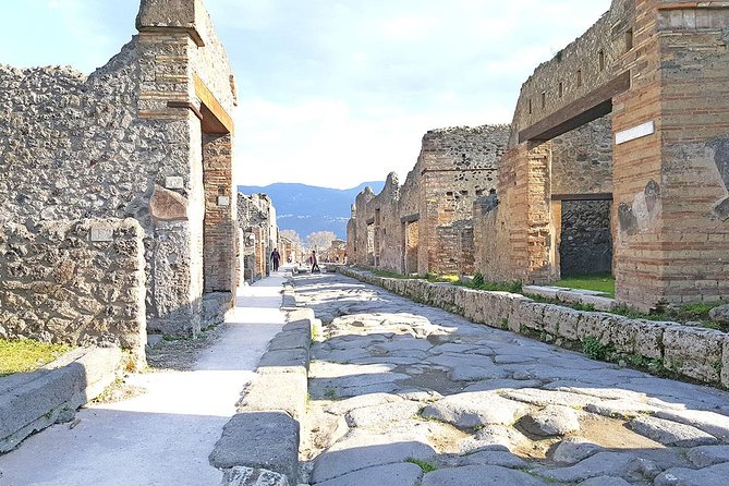Skip-The-Line Pompeii & Volcano Vesuvius Day Tour W Hotel or Port Pickup - Pricing and Availability Details