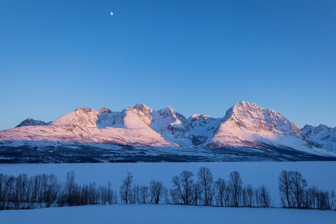 Small Group, Arctic Landscape Blue Day Tour With Creative Vacations - Traveler Reviews and Experiences