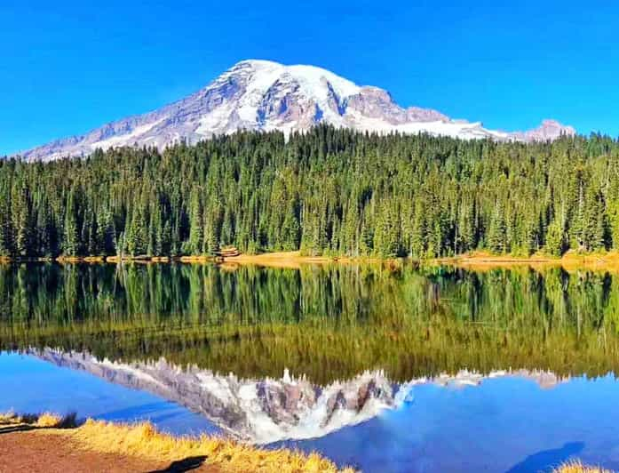 Small Group Mount Rainier National Park 1-Day Tour - Mount Rainier Facts