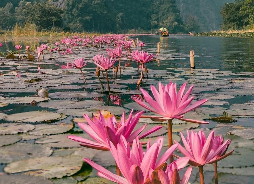 Small Group Tour From Hanoi: Hoa Lu -Tam Coc- Local Family - Important Information