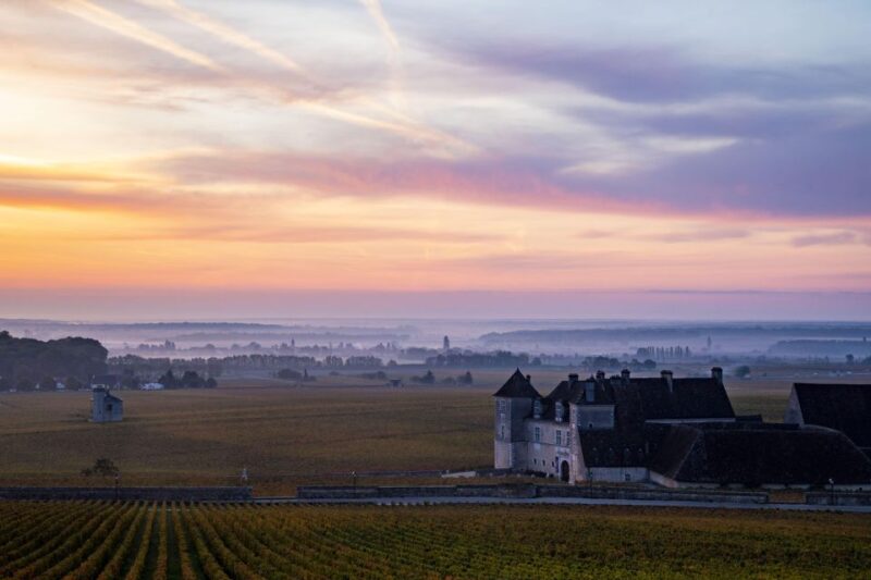 Small Group Tour Morning in Côte De Beaune - Customer Testimonials
