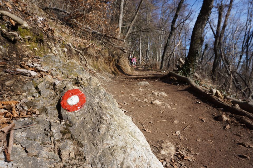 ŠMarna Gora: Hiking and Food Tour From Ljubljana - Important Information for Participants