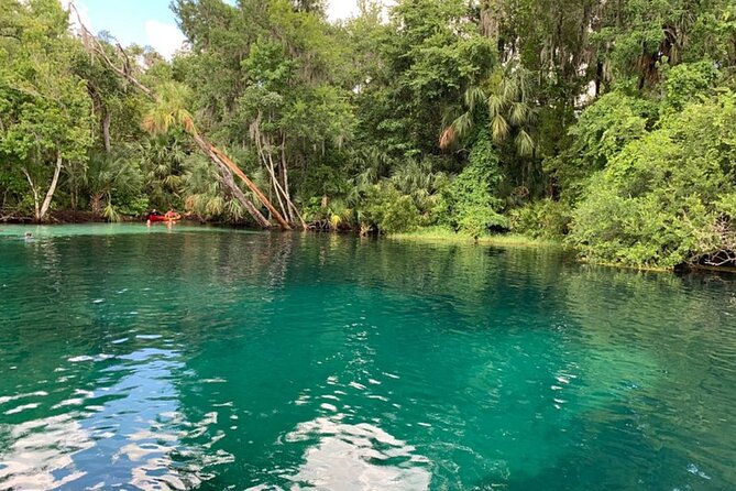 Snorkel Or Dive The Amazing Rainbow River Florida - Accessibility Features