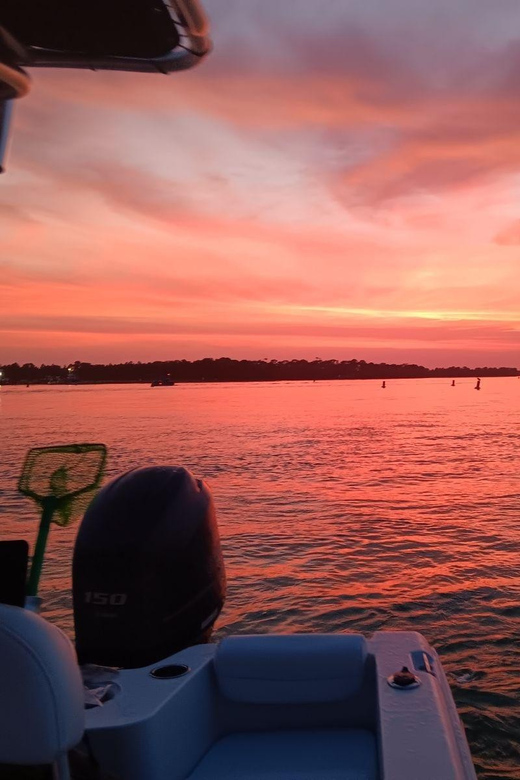 Snorkeling, Dolphins, and Crab Island - Snorkeling Locations Explored