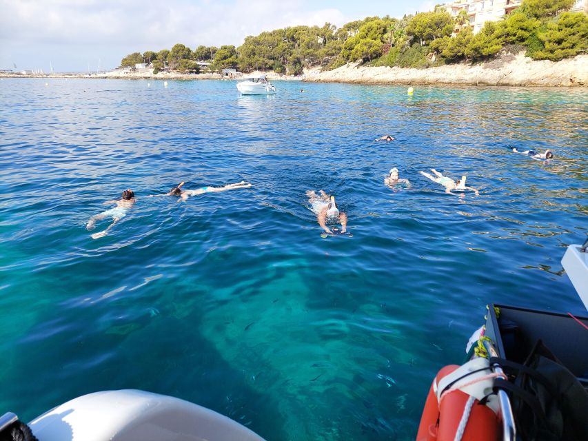 Snorkeling Experience Onboard of E-Catamaran at Palma Bay - Environmental Commitment