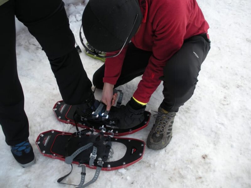 Snowshoeing Experience - What to Expect During the Hike