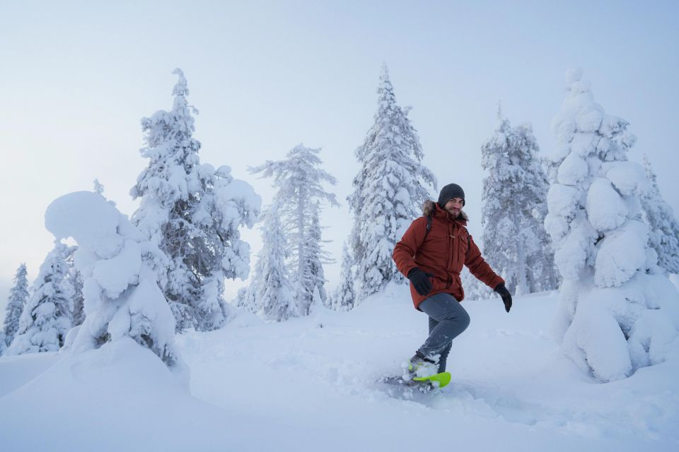 Snowshoeing in the Frozen Forest - Inclusions and Logistics