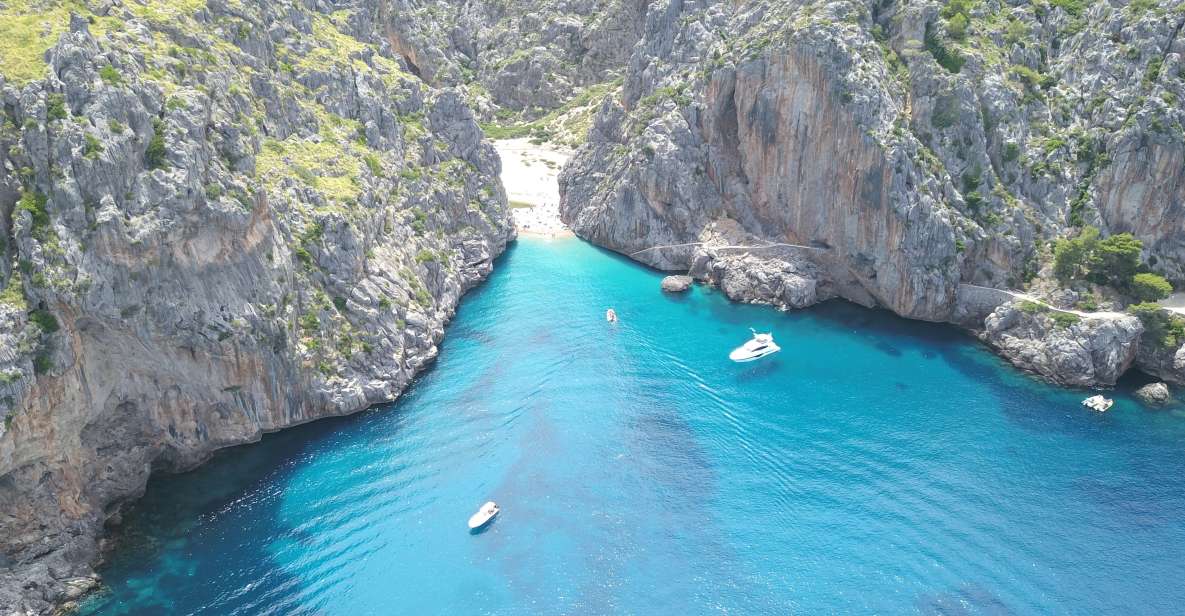 Soller: Sa Calobra & Cala Tuent Speedboat Tour - Snorkeling in Crystal-Clear Waters