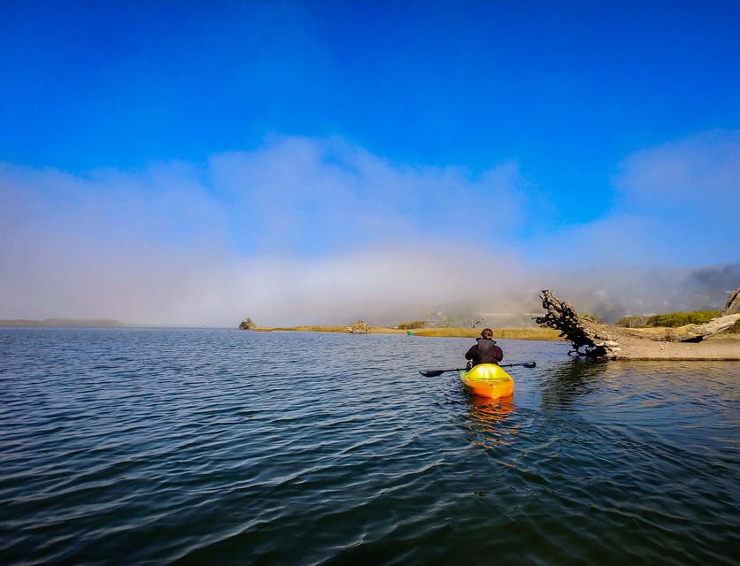 Sonoma Coast: Russian River Kayak Tour - Customer Reviews