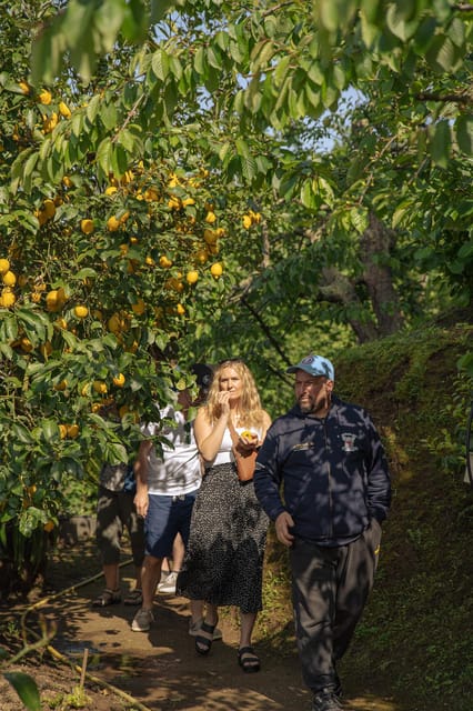 Sorrento: Lemons Grove&Cheese Show With Local Food Tasting - Inclusions and Exclusions
