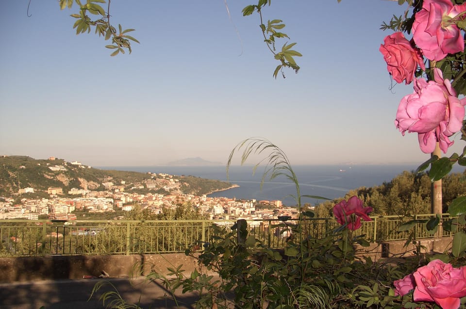 Sorrento: Walking Tour in Lemon Garden W/ Food Tasting - Visitor Feedback