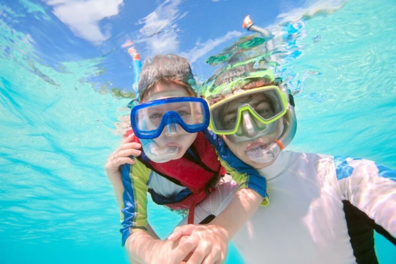 South Tenerife: Guided Snorkeling - Logistics and Transportation