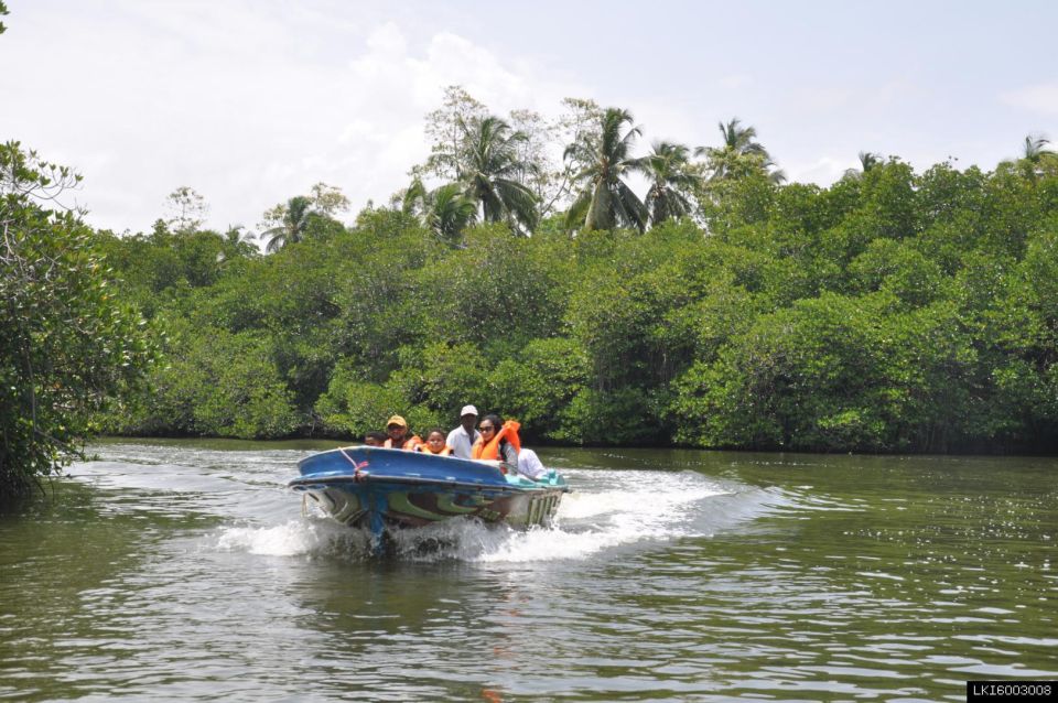 Southern Sri Lanka: Sea, Sand & Marine Life 2-Day Tour - Handunugoda Tea Factory