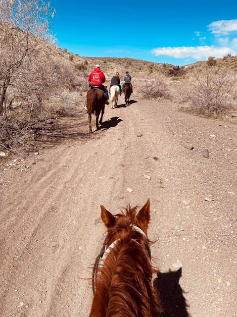 Southwest Horseback Riding (pickup in Laughlin) - Highlights of the Tour