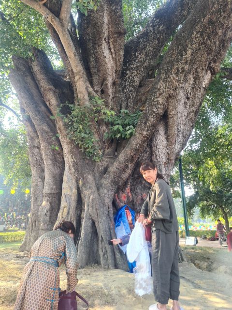 Special Buddhist Tour With Golden Tringle - Accessibility Features