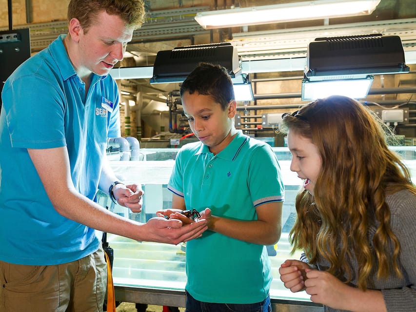 Speyer: SEA LIFE Behind the Scenes Tour - Tour Details and Meeting Point