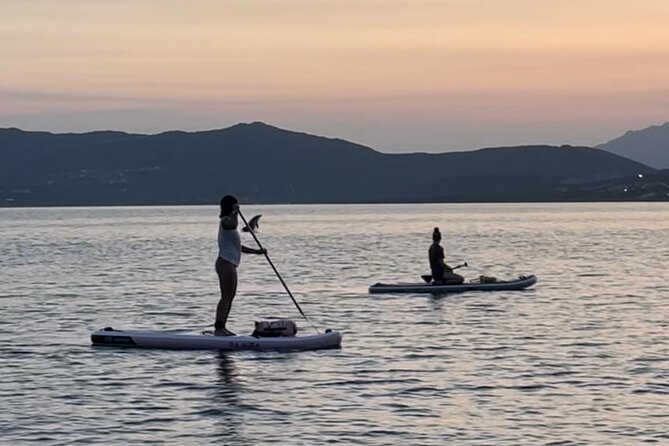 Stand Up Paddle Tour Dolphins Experience Golfo Aranci - Activity Details and Safety