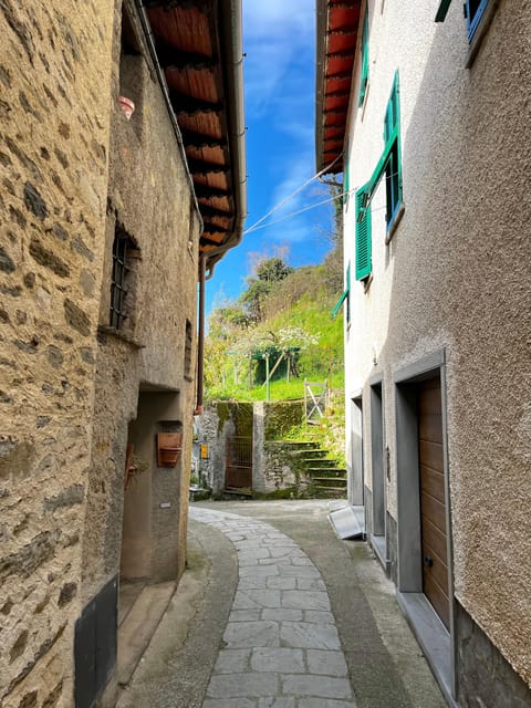 Stazzema: Guided Tour With Cooking Class and Lunch - Traditional Tuscan Lunch