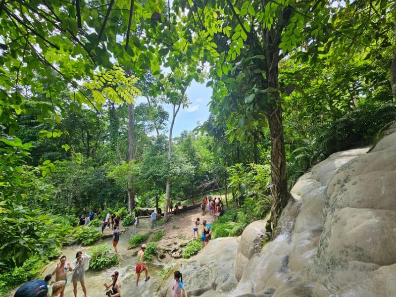 Sticky Waterfall & Wild Temple & Rare Forest Market. - Inclusions and Exclusions