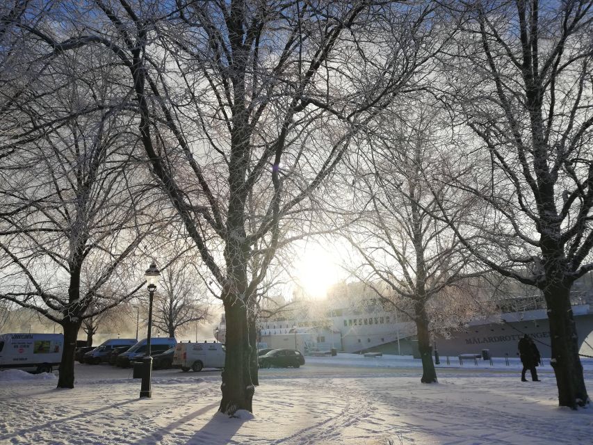 Stockholm: Christmas Traditions & Tastings Small Group Tour - Food and Drink Tastings